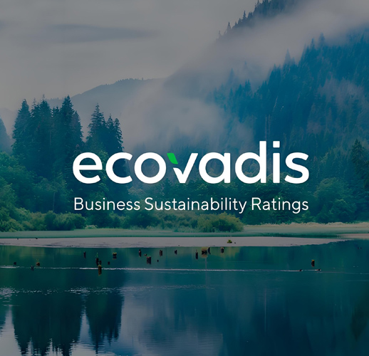 Ecovadis/CyberVadis审计咨询辅导