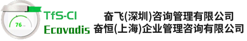 Ecovadis金牌咨询奋飞(深圳)咨询管理有限公司