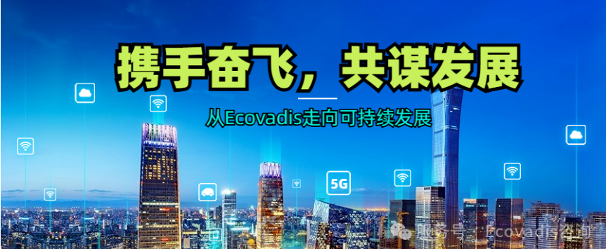 奋飞咨询携手浙江某药业公司，共启Ecovadis可持续发展新征程