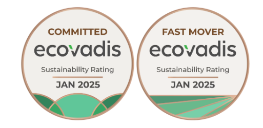 打造可持续发展文化：Ecovadis评估与奋飞奋恒咨询的实践路径