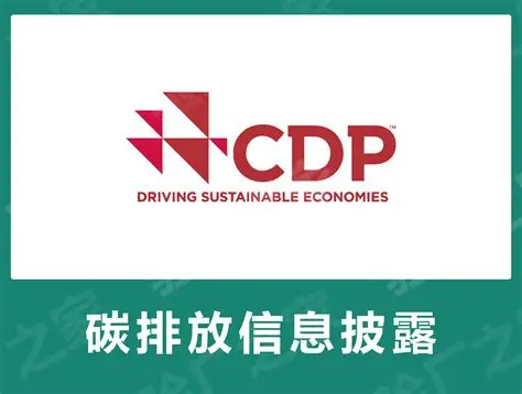 CDP披露指南：2025披露期盛大开启