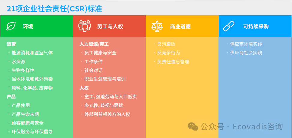 EcoVadis高分攻略：奋飞咨询助力企业提升四大主题得分