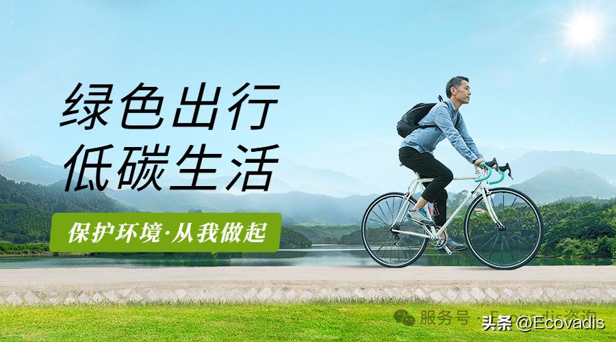 奋飞咨询：引领企业迈向绿色未来——低碳转型的实践与展望