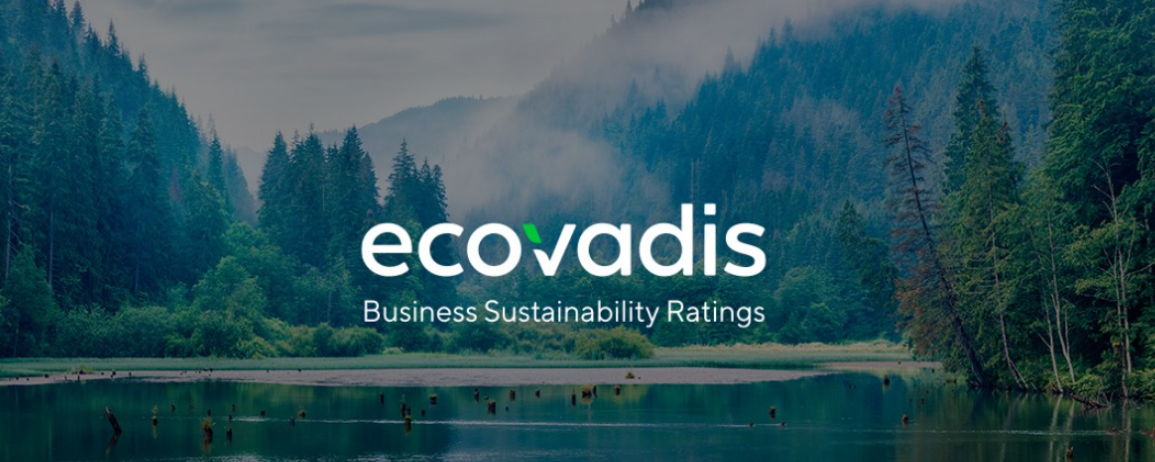 企业可持续发展新路径：EcoVadis审核的奥秘