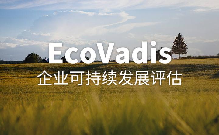 化学品制造商：强化供应商管理，做好EcoVadis认证