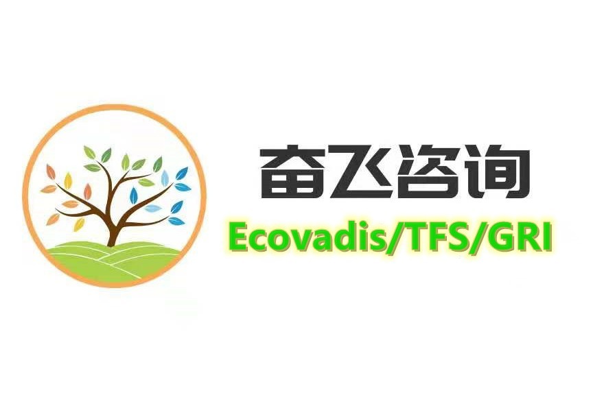 奋飞咨询帮助企业从40到72分：跨越32分的ESG逆袭之路