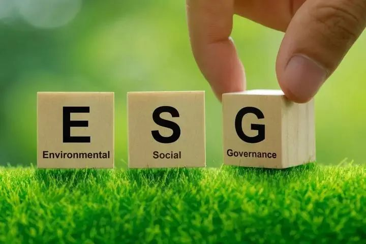 EcoVadis评估辅导选购指南：5大标准选对可持续发展伙伴