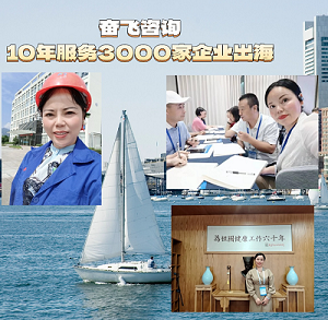 四主题全部跻身行业前1%！奋飞咨询助力香港企业摘得Ecovadis铂金