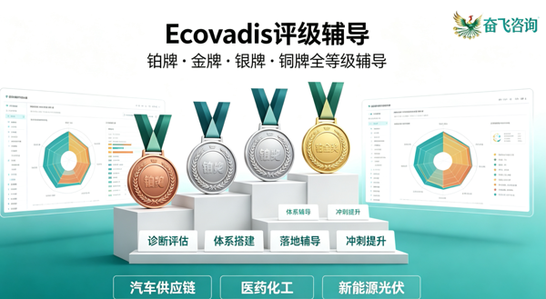 从63到74，济南药企的EcoVadis银牌，是奋飞咨询一分一分提上来的
