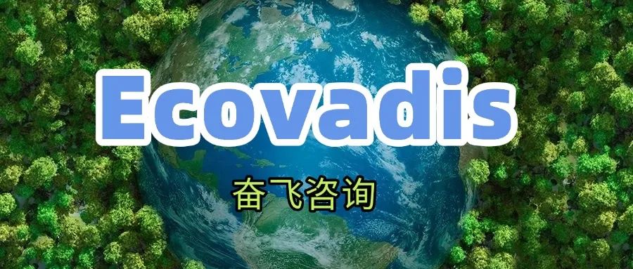 80%的企业都忽略了！EcoVadis最高性价比模块，照着做银牌稳了！