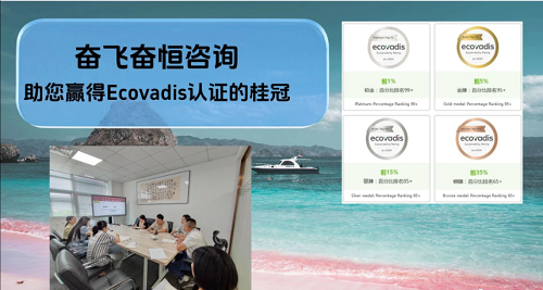 河北廊坊电子厂EcoVadis银牌74分：奋飞专业辅导4大模块一个没塌